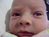 Samuel day 3