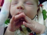 Samuel day 4