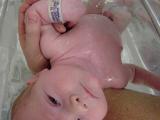 Samuel day 5