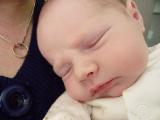 Samuel day 5
