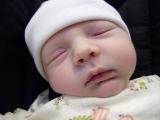 Samuel day 5