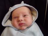 Samuel day 7