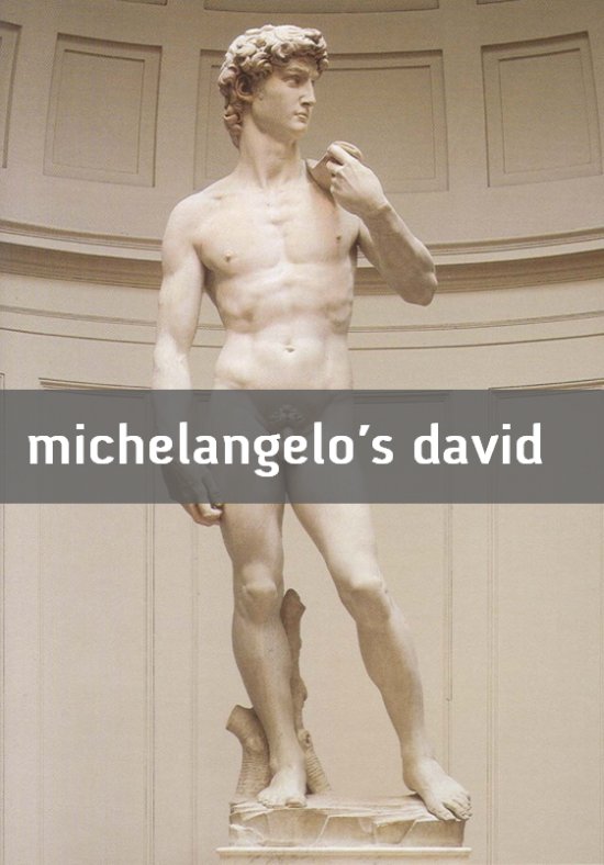 michelangelo's david