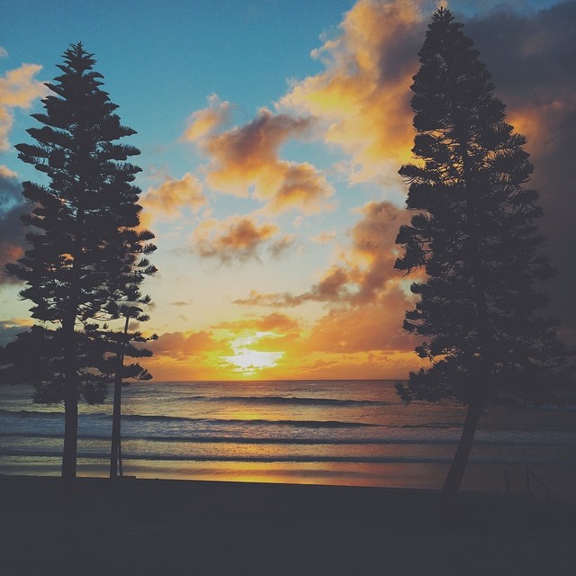 // DEE WHY SUN UP