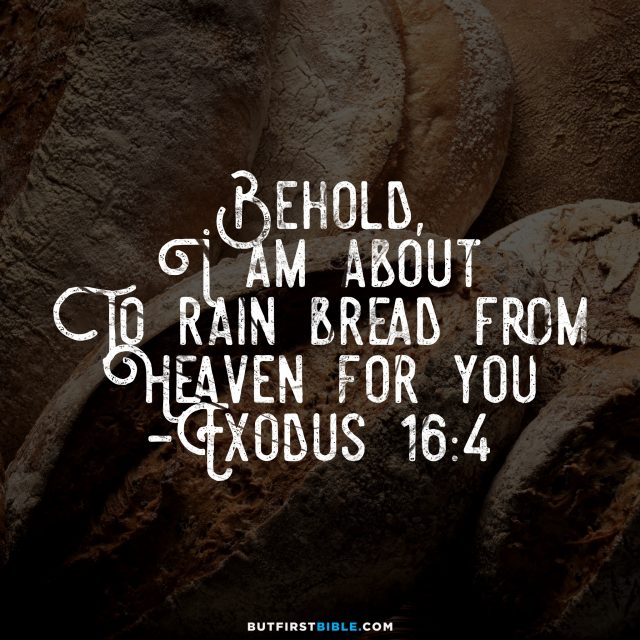 Jan 28 – Exodus 16-18; Matthew 19:16-30 – BREAD FROM HEAVEN – GOSPEL ON  REPEAT
